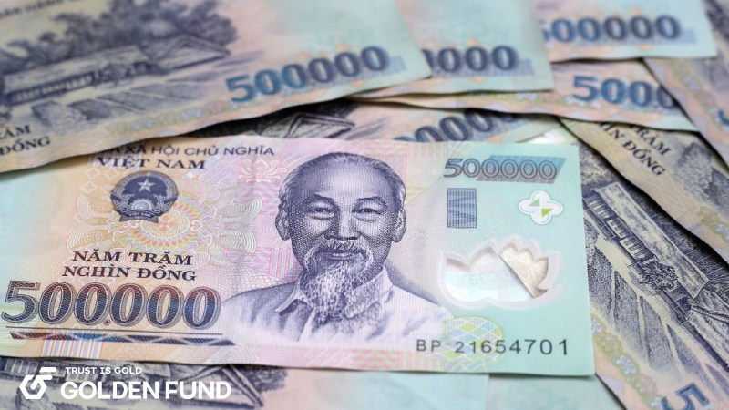 50-trieu-dau-tu-gi-1