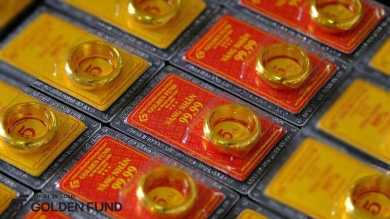 Vốn 100 triệu nên phân bổ đầu tư hợp lý co-100-trieu-nen-dau-tu-gi-2