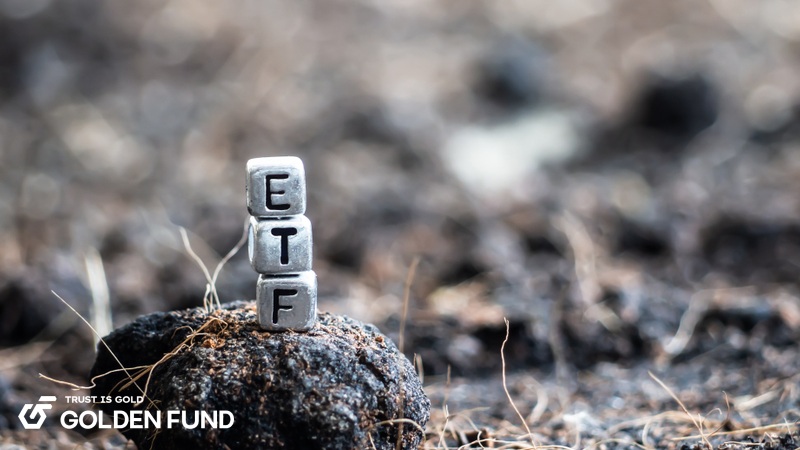 Các quỹ lớn cũng tham gia cuộc đua nắm giữ dau-tu-bac-2