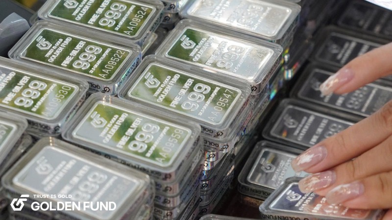 dau-tu-bac-tai-viet-nam-2