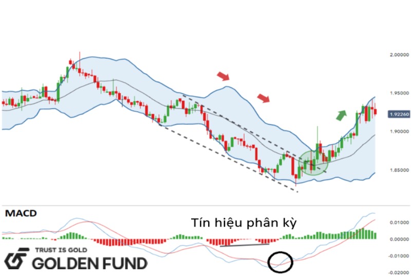 ket-hop-bollinger-bands-macd-1