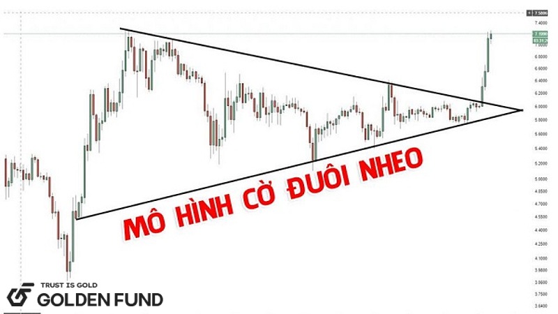 mo-hinh-co-duoi-nheo-la-gi