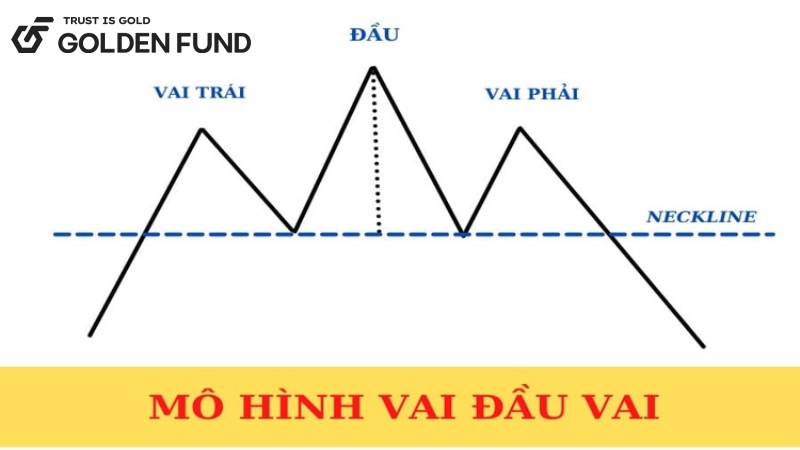 mo-hinh-dau-vai-1