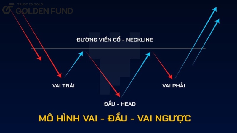 mo-hinh-dau-vai-nguoc