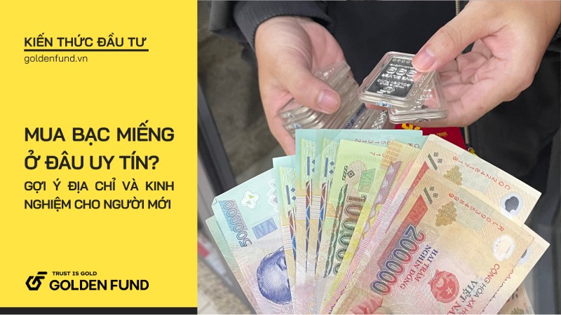 Mua bạc miếng ở đâu uy tín? Gợi ý địa chỉ và kinh nghiệm cho người mới