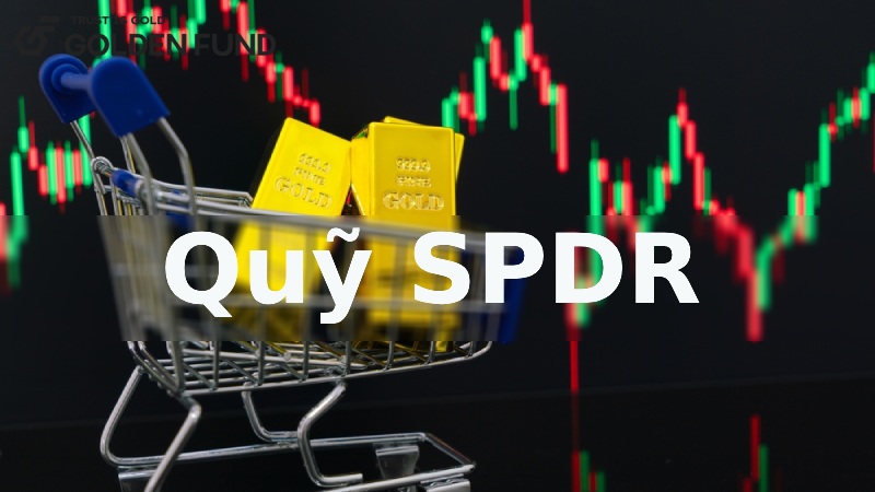 quy-spdr-la-gi-1