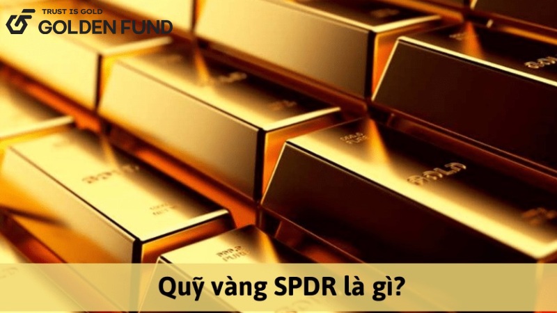 quy-spdr-la-gi-2