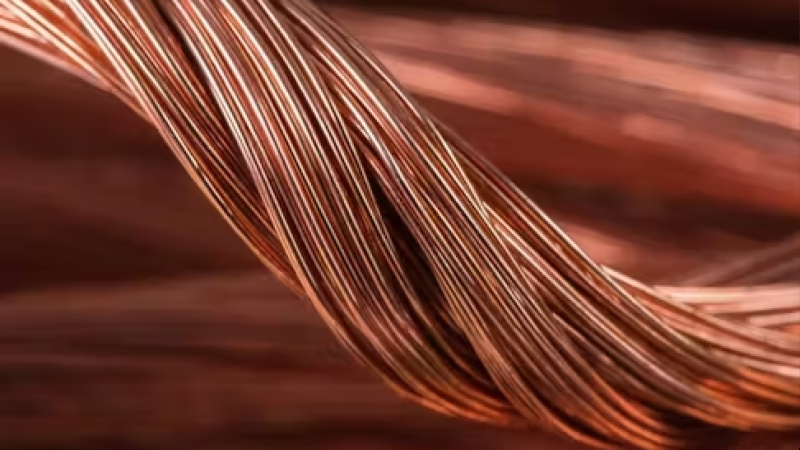 su-nhieu-loan-thi-truong-va-lo-hong-cung-ung-toan-cau