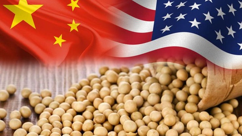 Sự quan trọng của đậu tương với Mỹ và Trung Quốc su-quan-trong-cua-dau-tuong-voi-my-va-trung-quoc