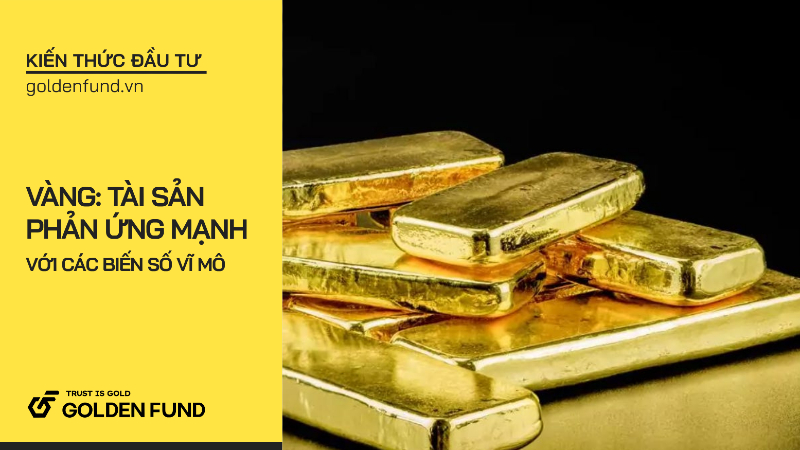 Vì sao vàng là một trong những tài sản nhạy nhất với các biến số vĩ mô?